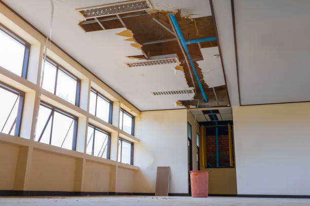 Best Local water damage restoration  in Leonville, LA