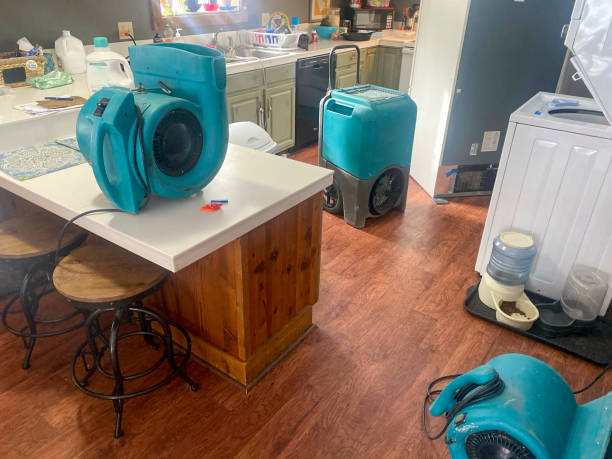 Best Water damage restoration near me  in Leonville, LA