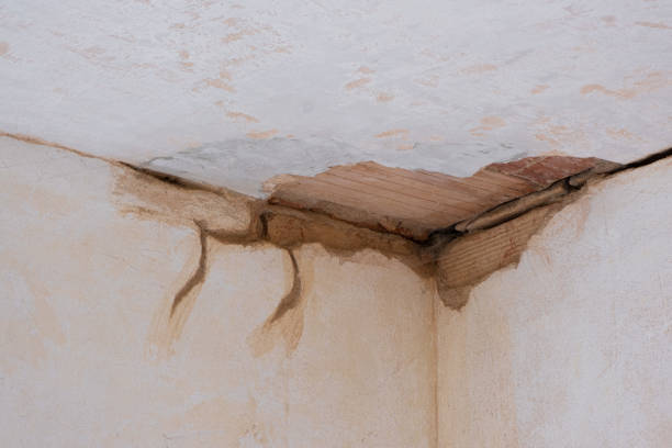 Best Commercial water damage restoration  in Leonville, LA