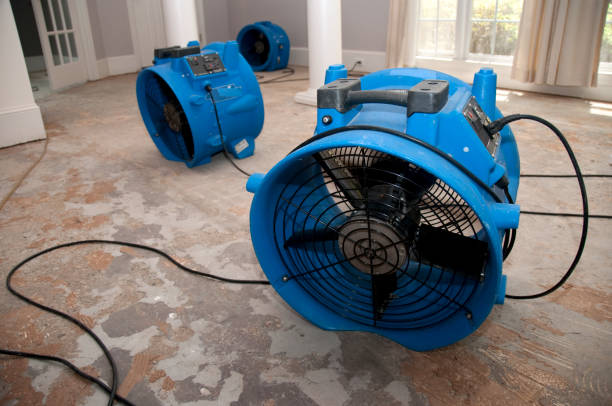 Best Flooded house restoration  in Leonville, LA