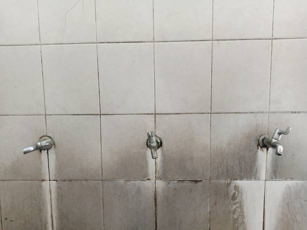 Best 24-hour water damage restoration  in Leonville, LA