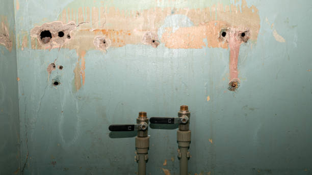 Best Fire Damage Restoration  in Leonville, LA