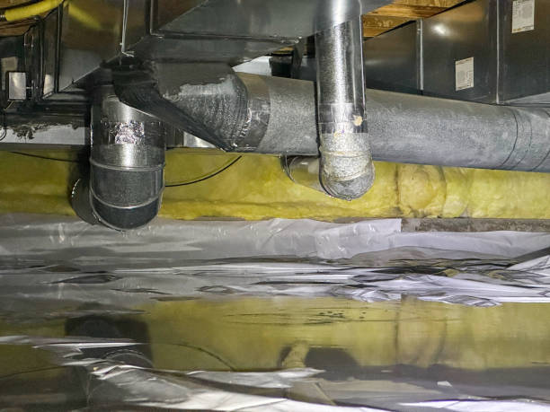 Best Mold removal after water damage  in Leonville, LA