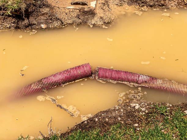  Leonville, LA Water damage restoration Pros